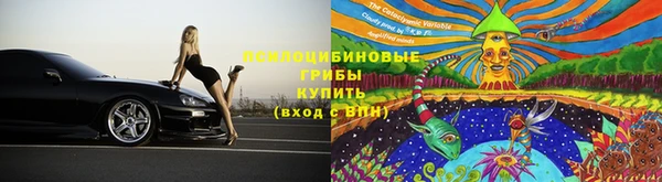 не бодяженный Аркадак
