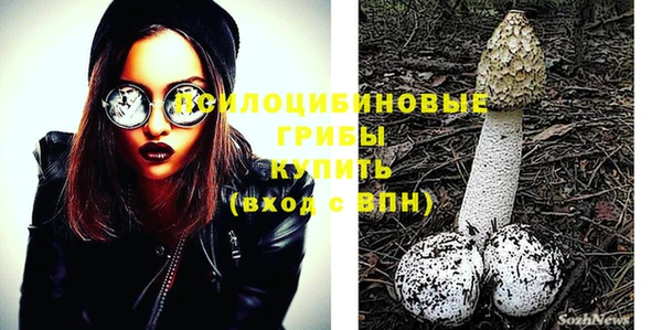 не бодяженный Аркадак