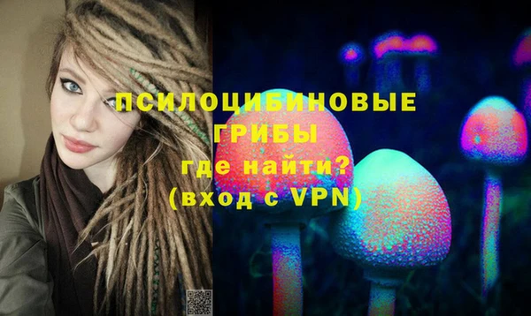 не бодяженный Аркадак