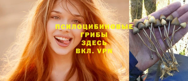гидропоника Армянск