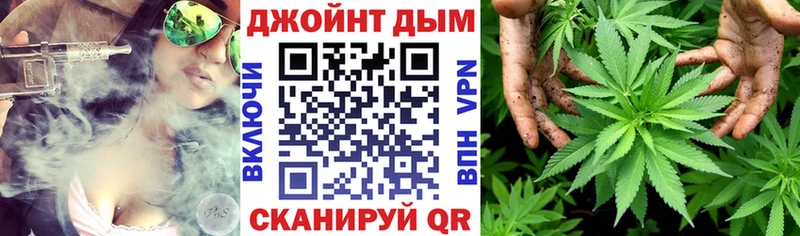 Бошки Шишки SATIVA & INDICA  купить наркотики цена  Нижнеудинск 